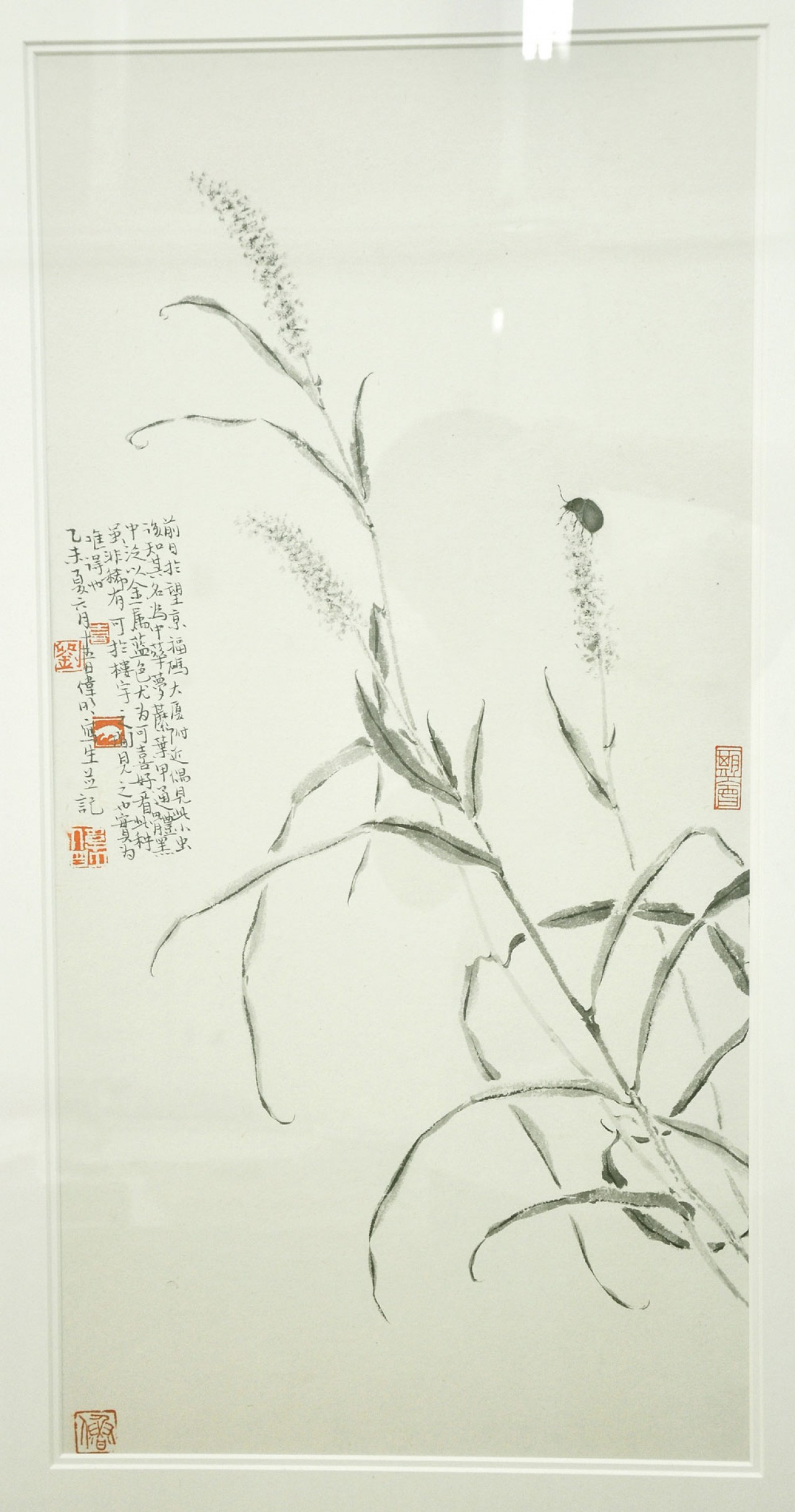 【草间生意(六幅)6-刘伟明毕业作品-国画-2016年作】