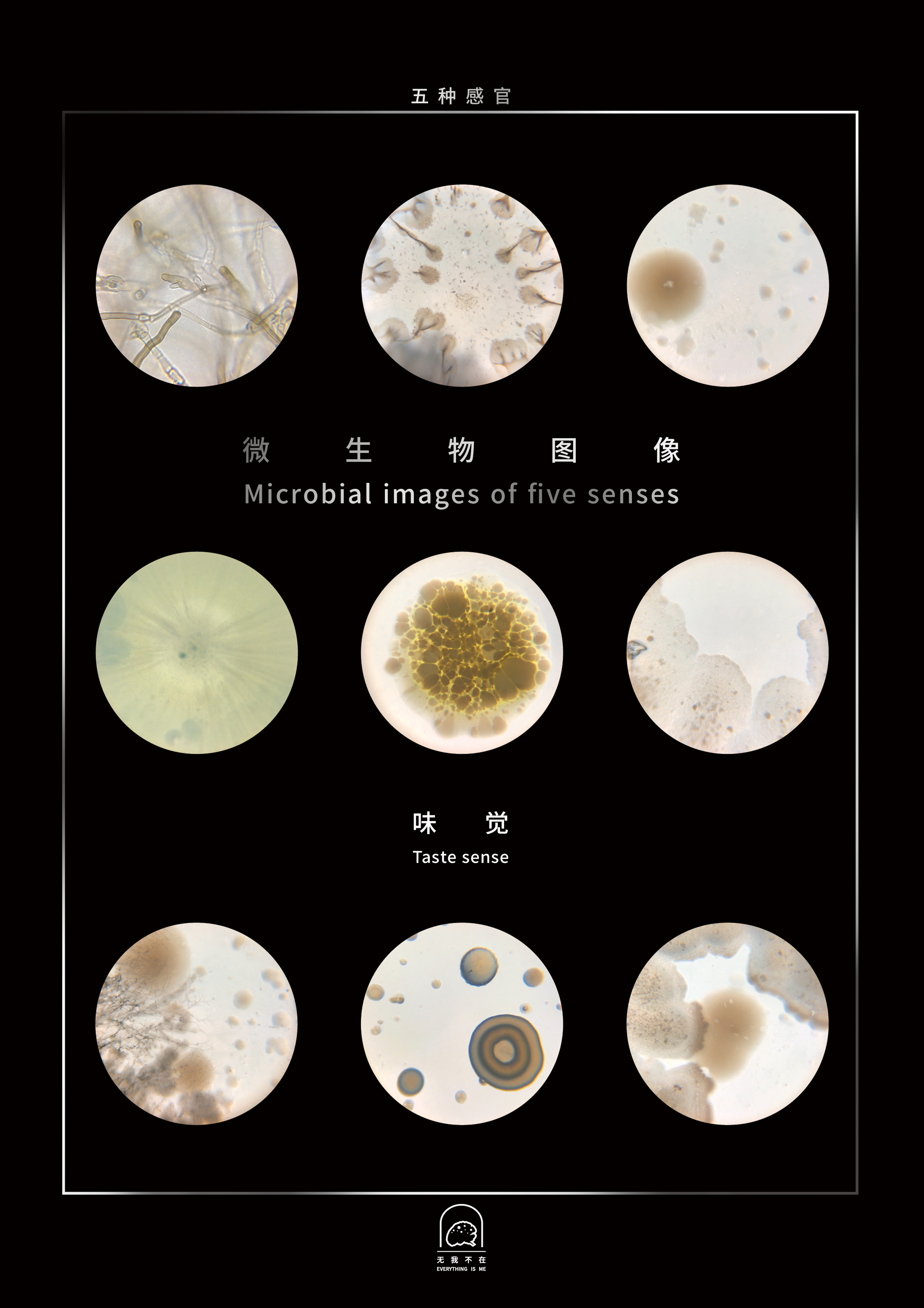 《无我不在》微生物图像海报#4味觉