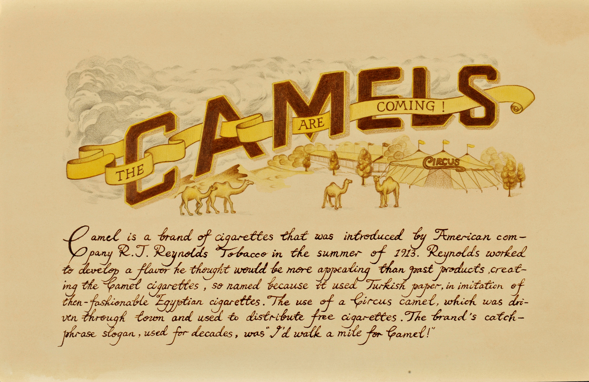 消费风景1 CAMEL‘s History