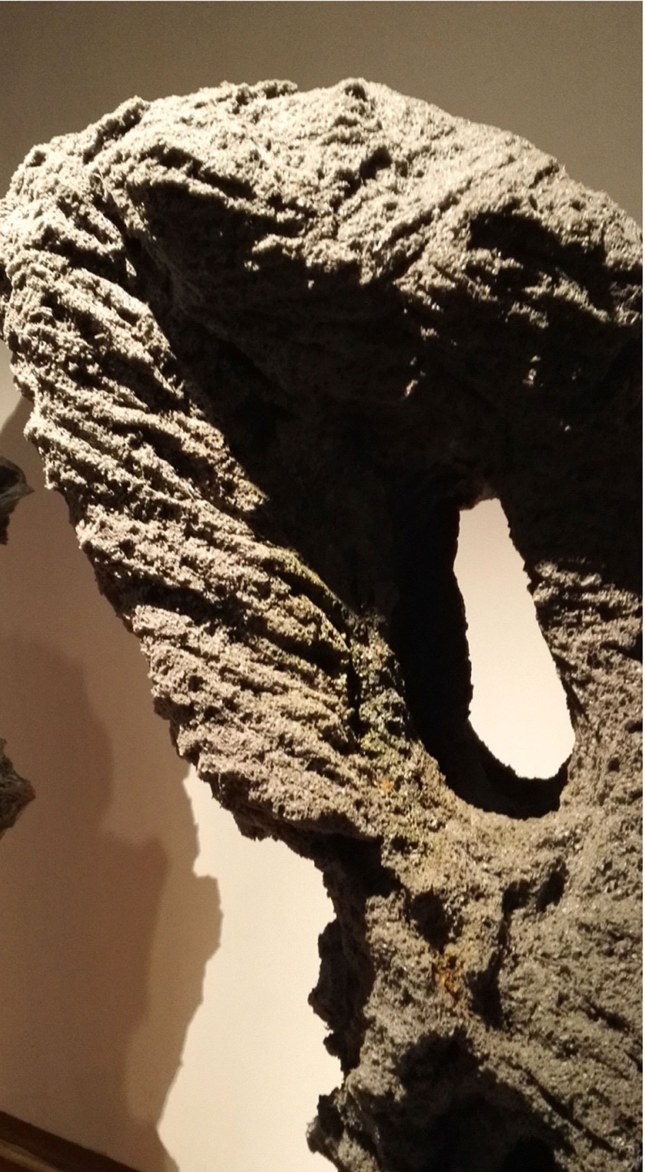《变异3号》局部
