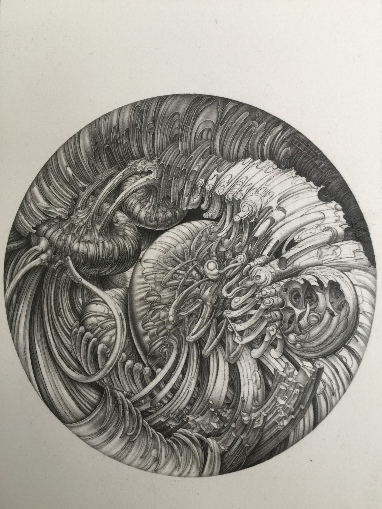 【曼陀罗—九宫矩阵-罗月明毕业作品-素描速写-2016年作】2016青年