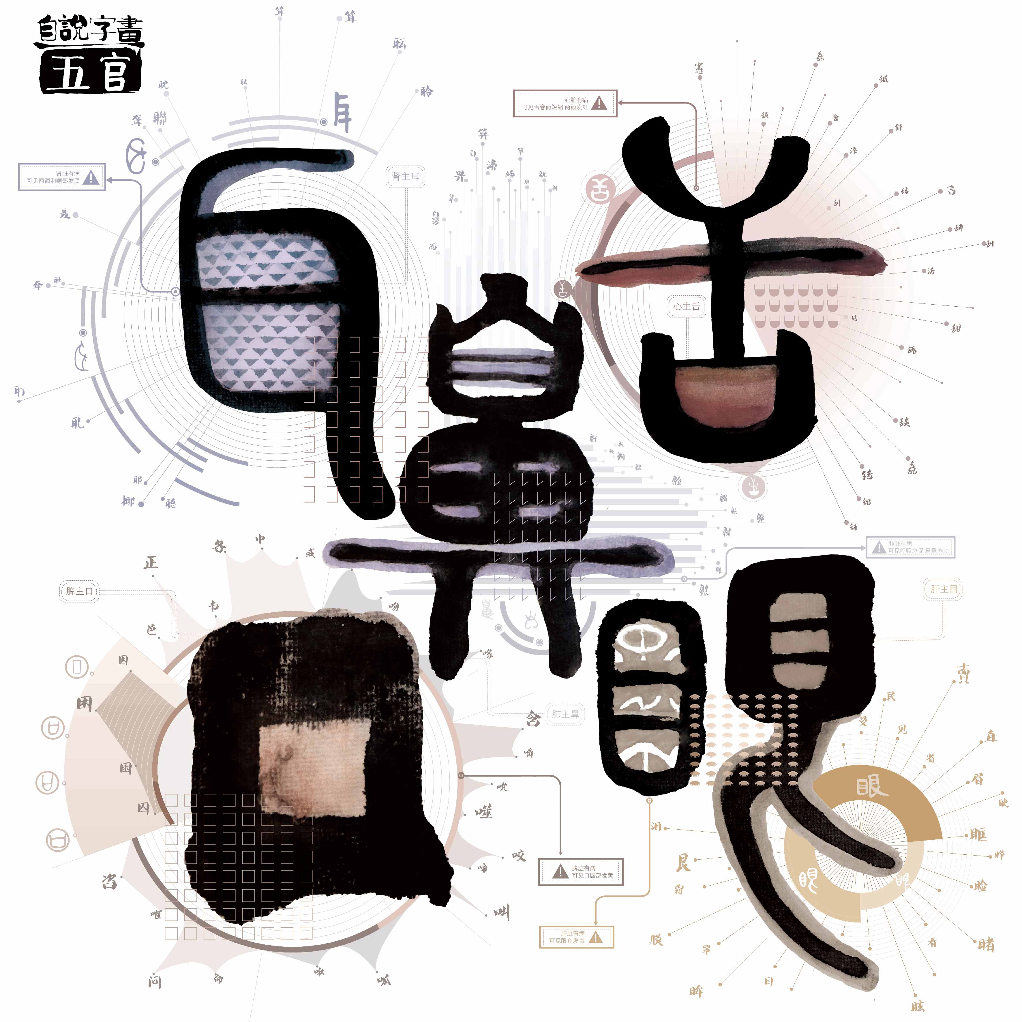 自说字画—五官