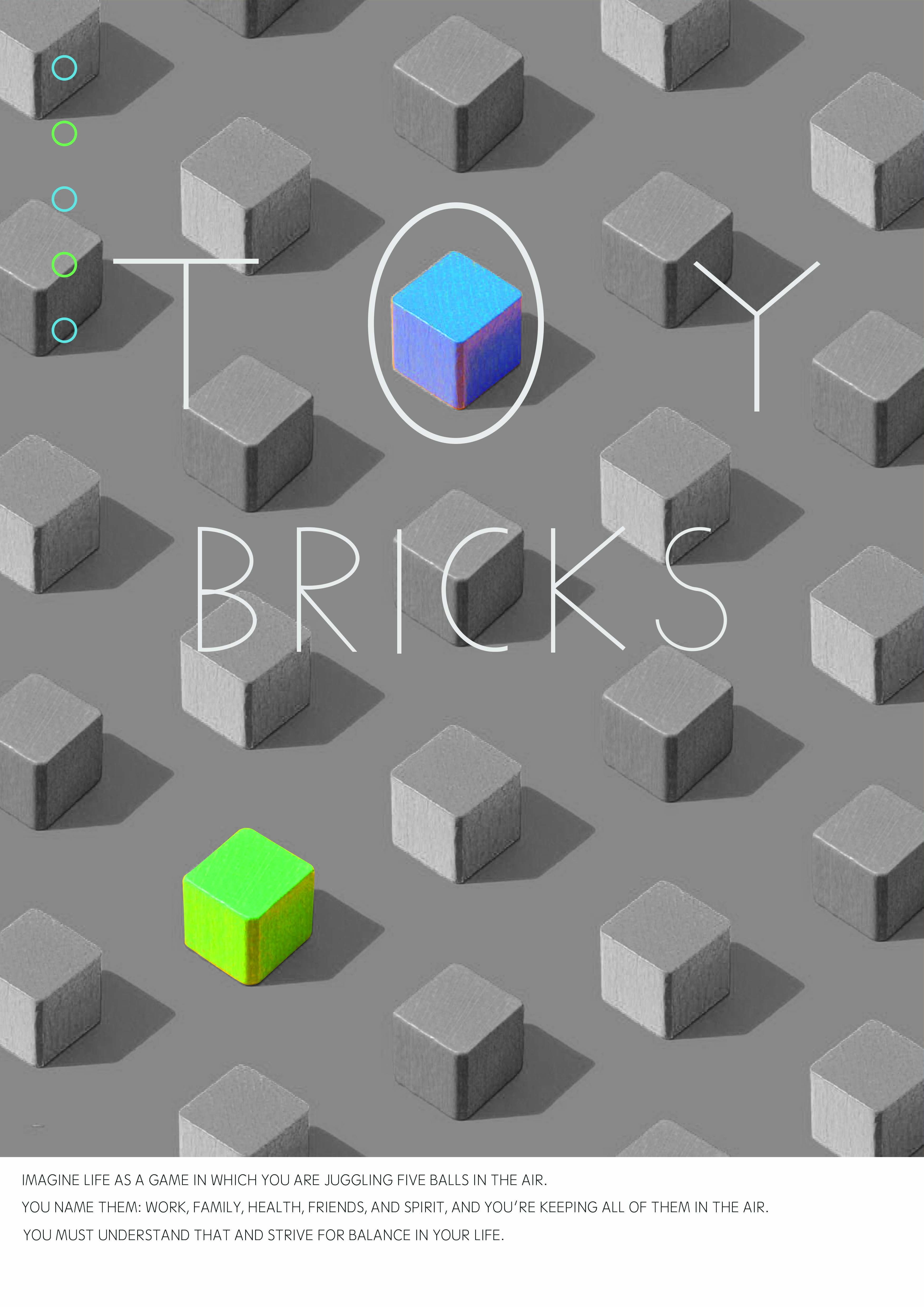 TOY BRICKS