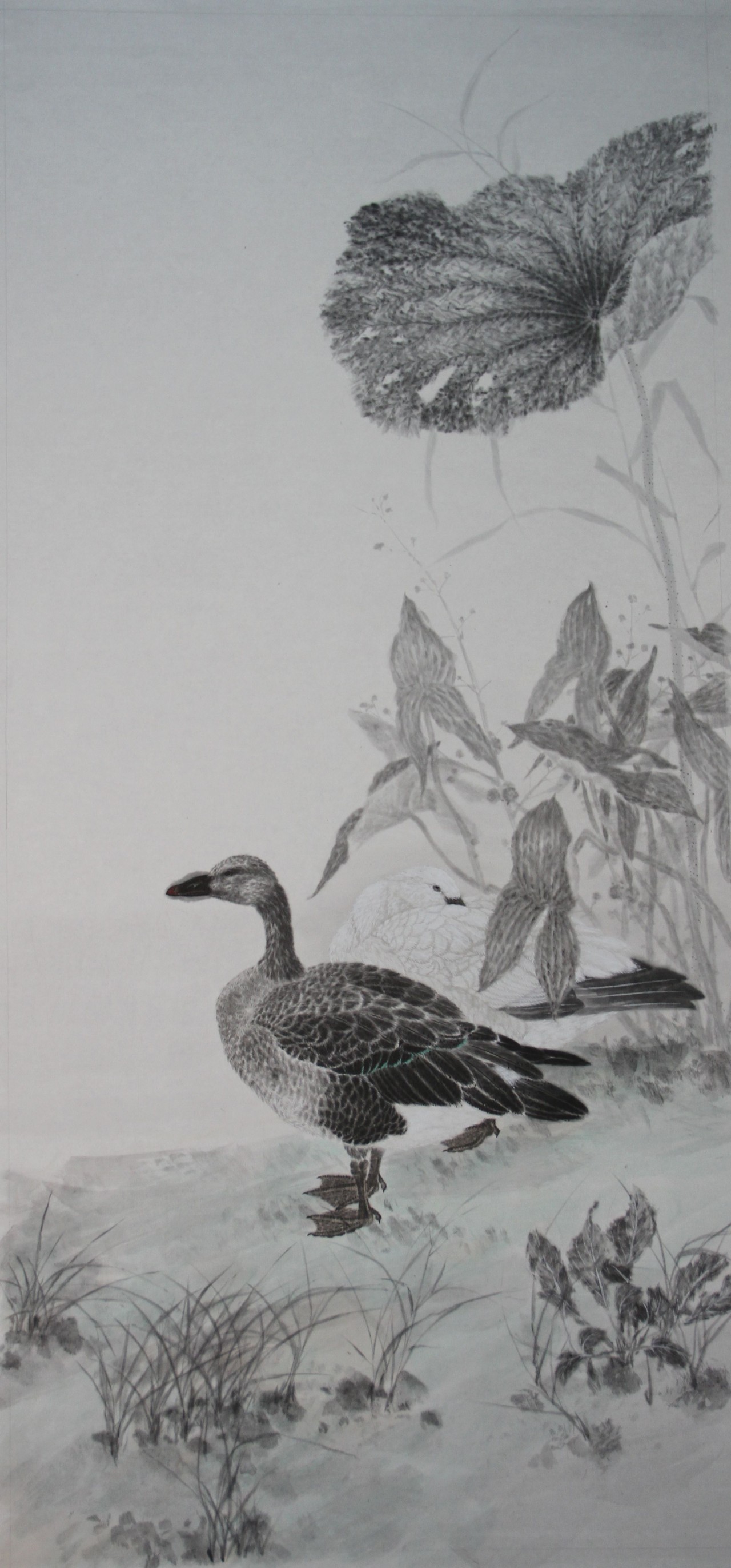 【双雁-刘伟佳毕业作品-国画-2013年作】2017全国大学生艺术年度大展