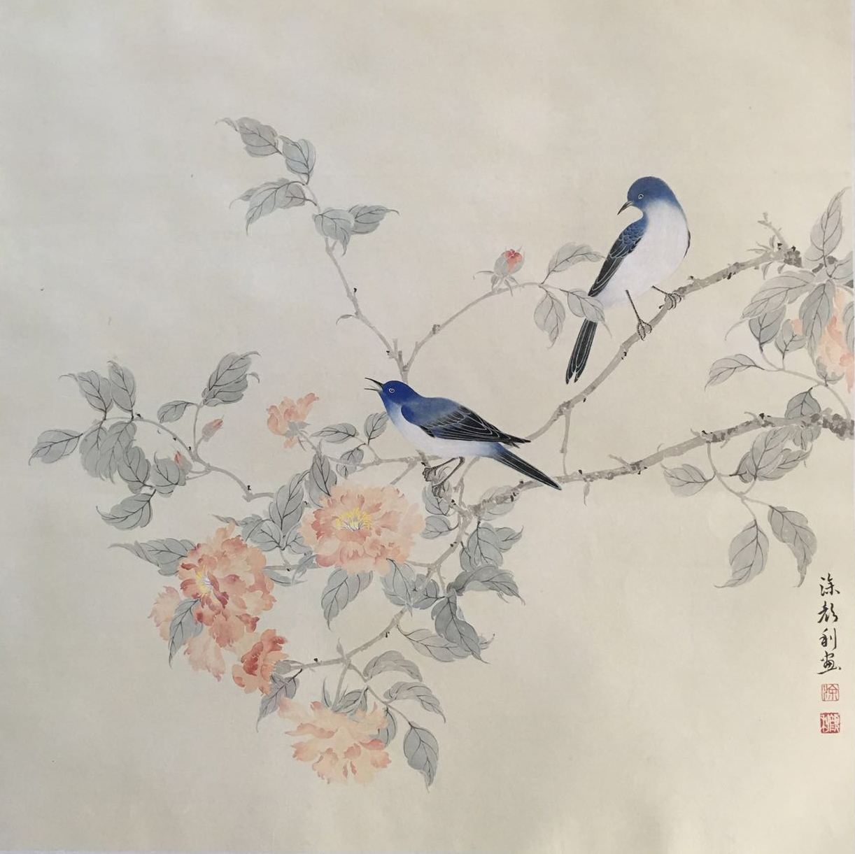 花鸟6