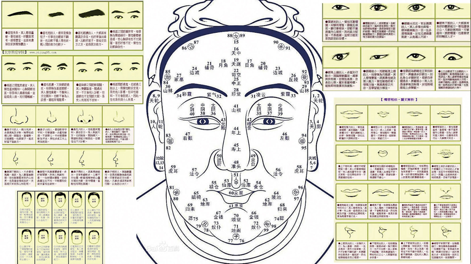 合谋的艺术家5