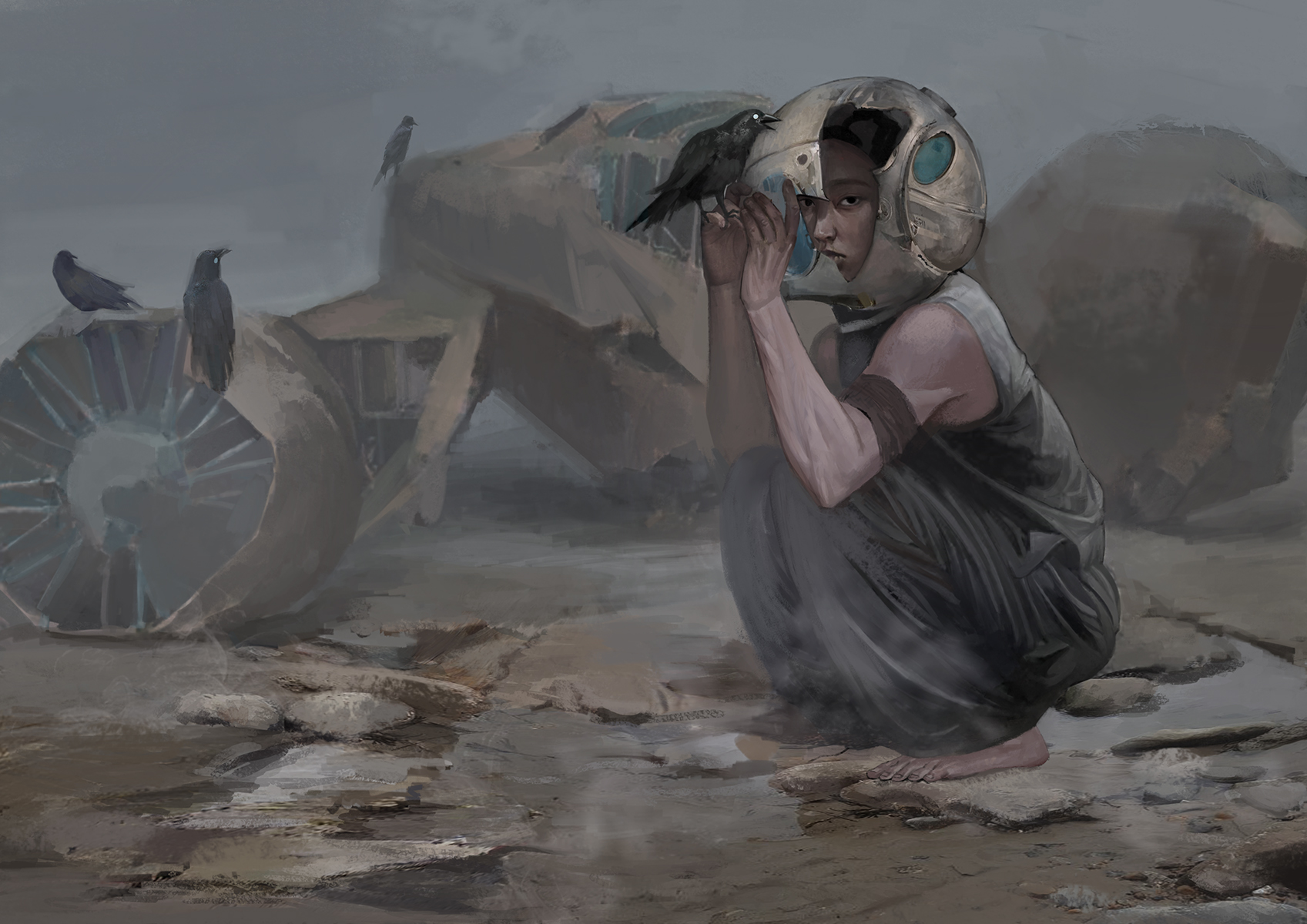 杜鹃2
