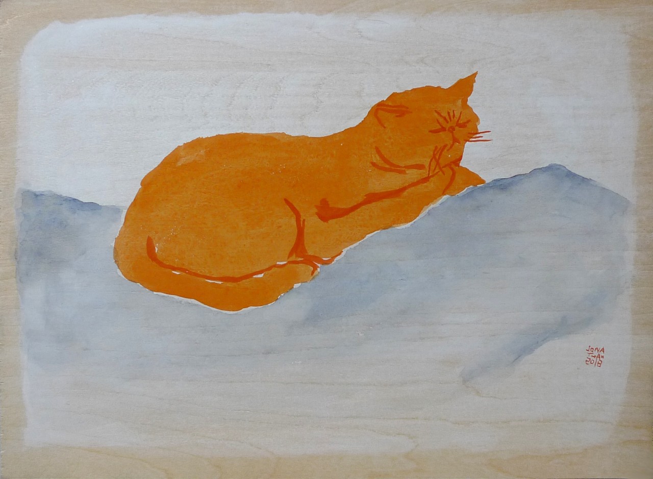 【橙色的猫