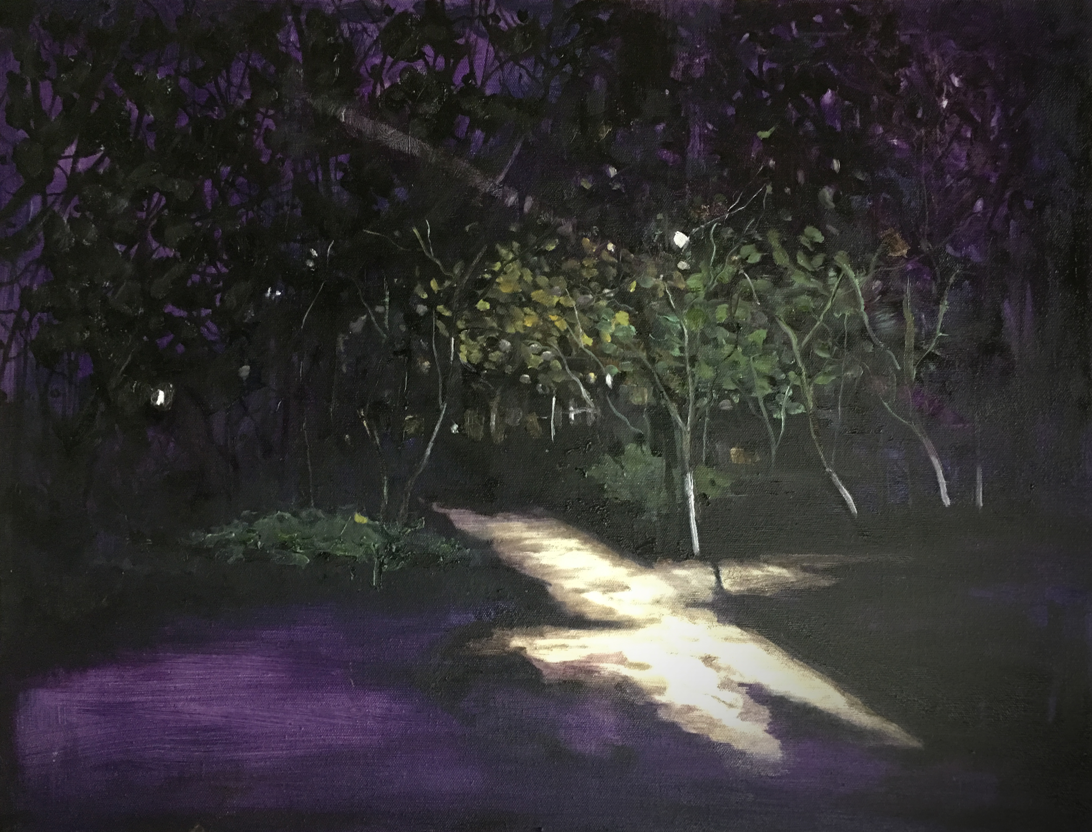 《虎溪的夜晚》