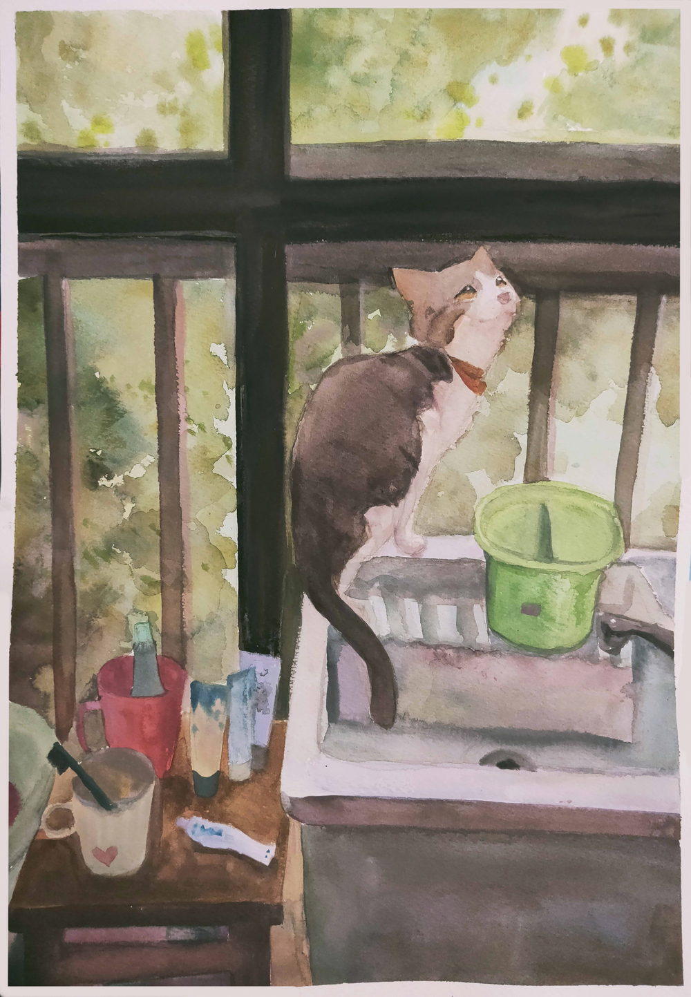 猫1