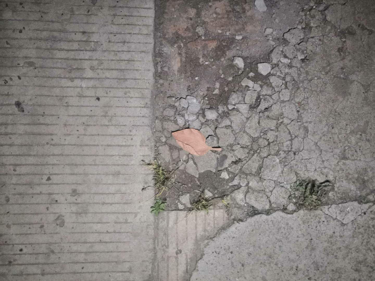 树基2