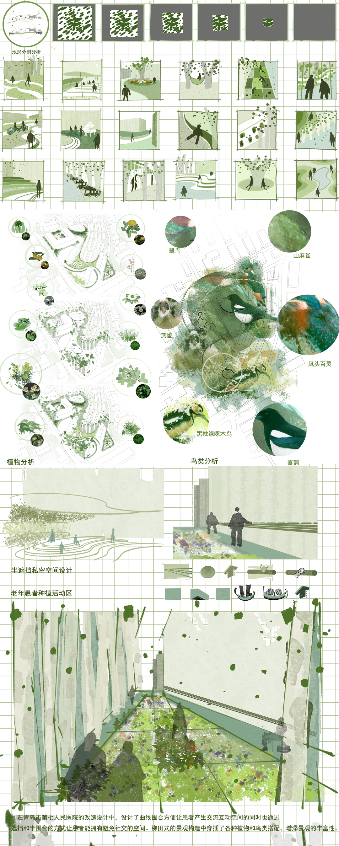 芳草萋萋鹦鹉洲——人情化景观设计在青岛市第七人民医院的应用