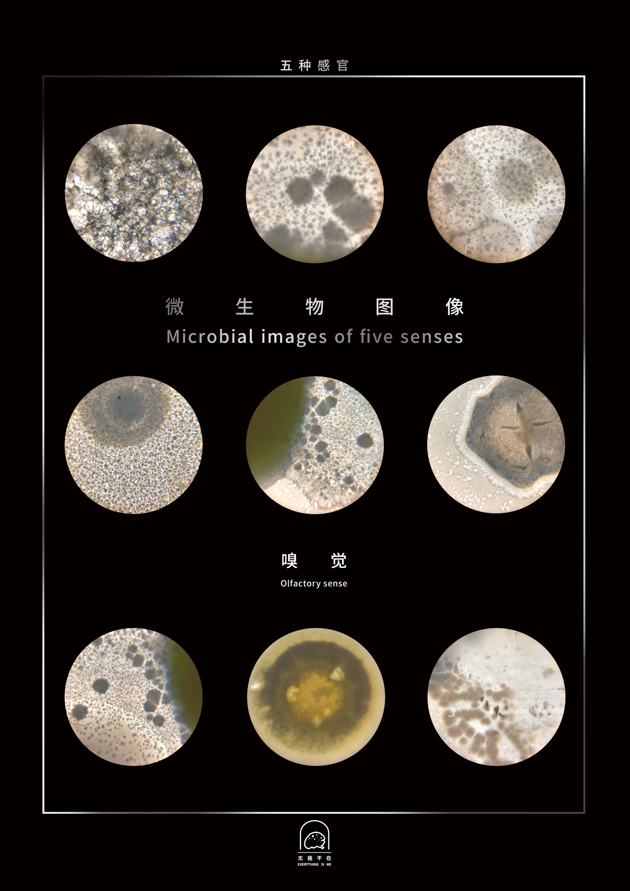 《无我不在》微生物图像海报#3嗅觉