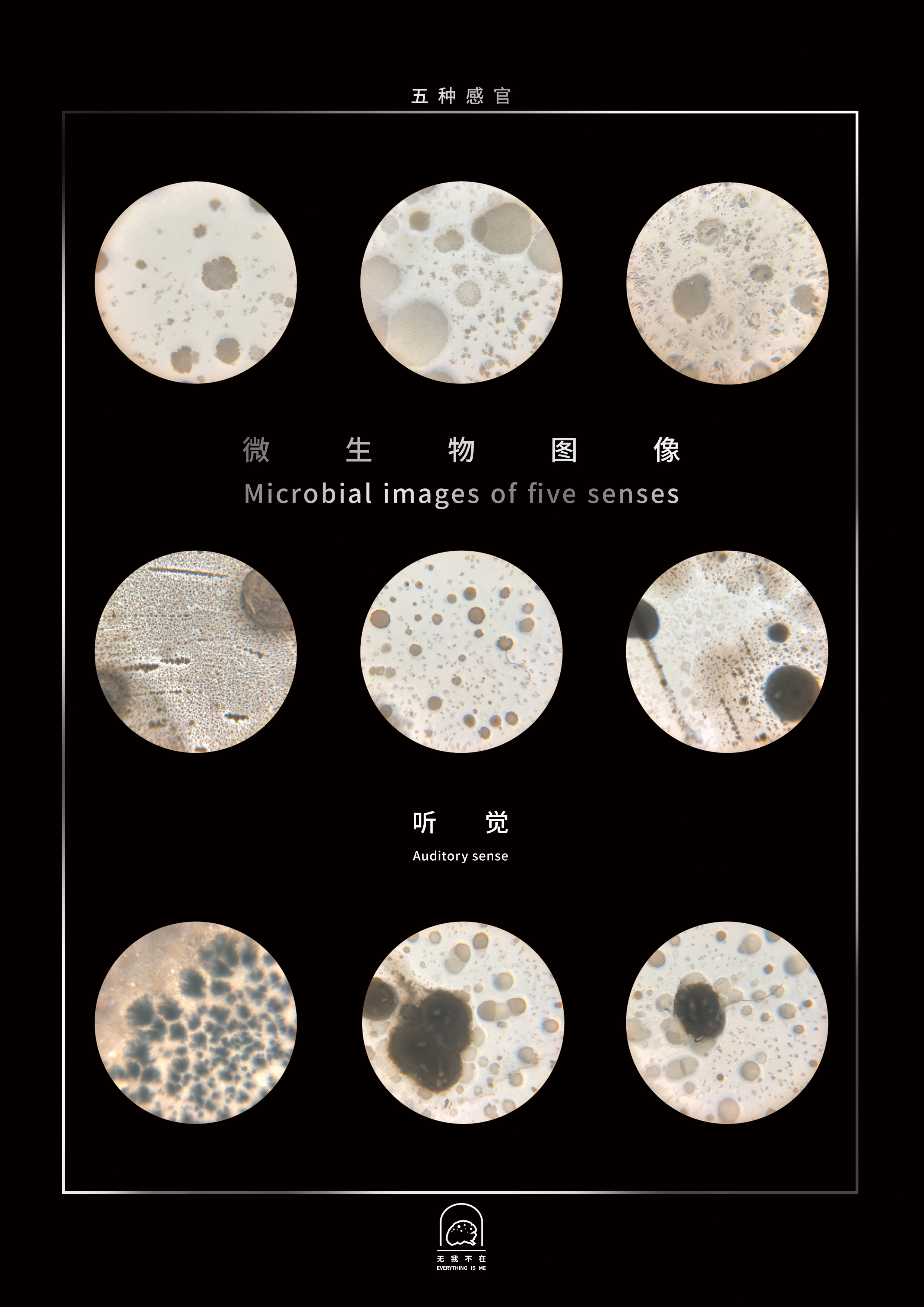 《无我不在》微生物图像海报#2听觉