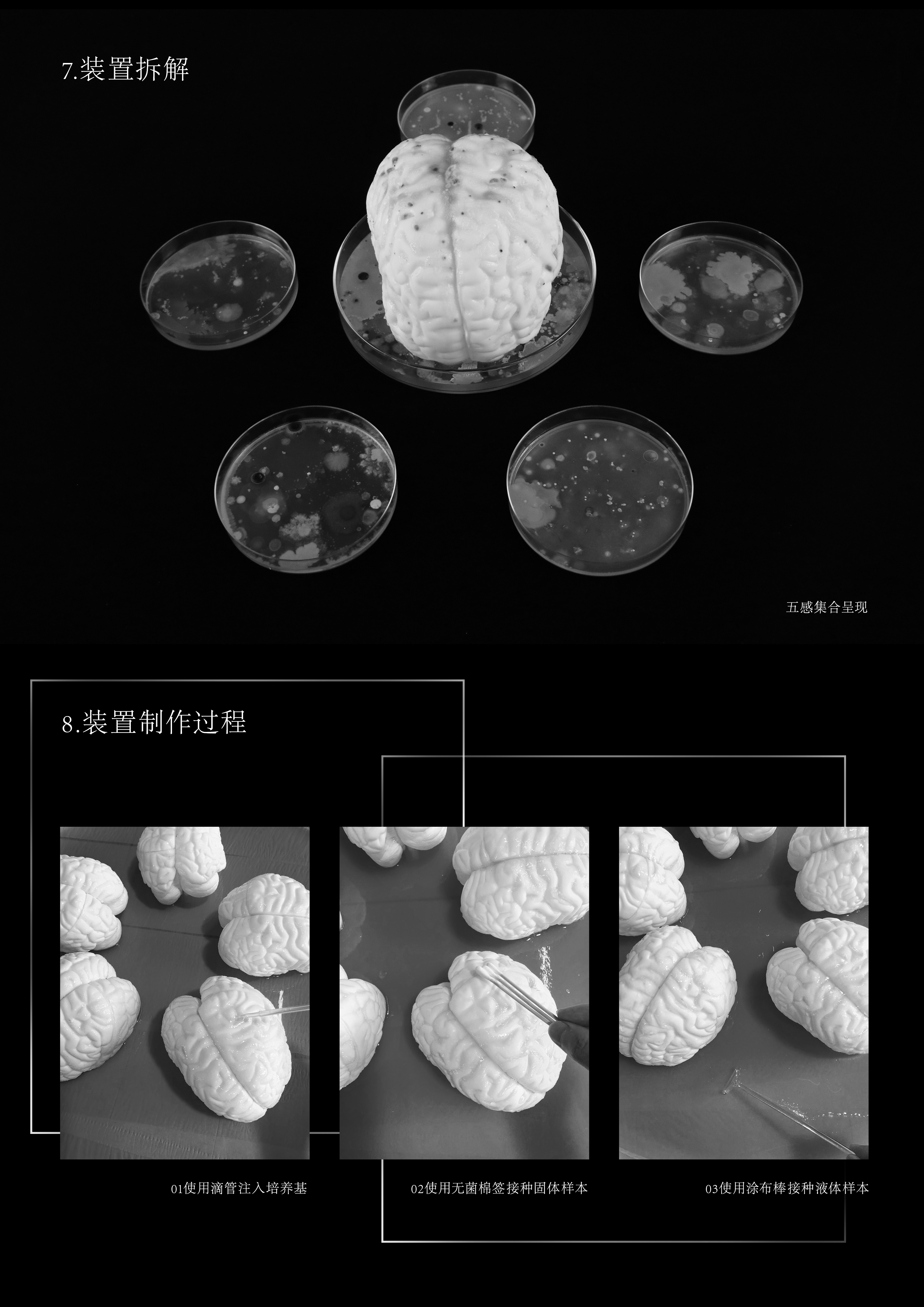 《无我不在》微生物实验日志No.4