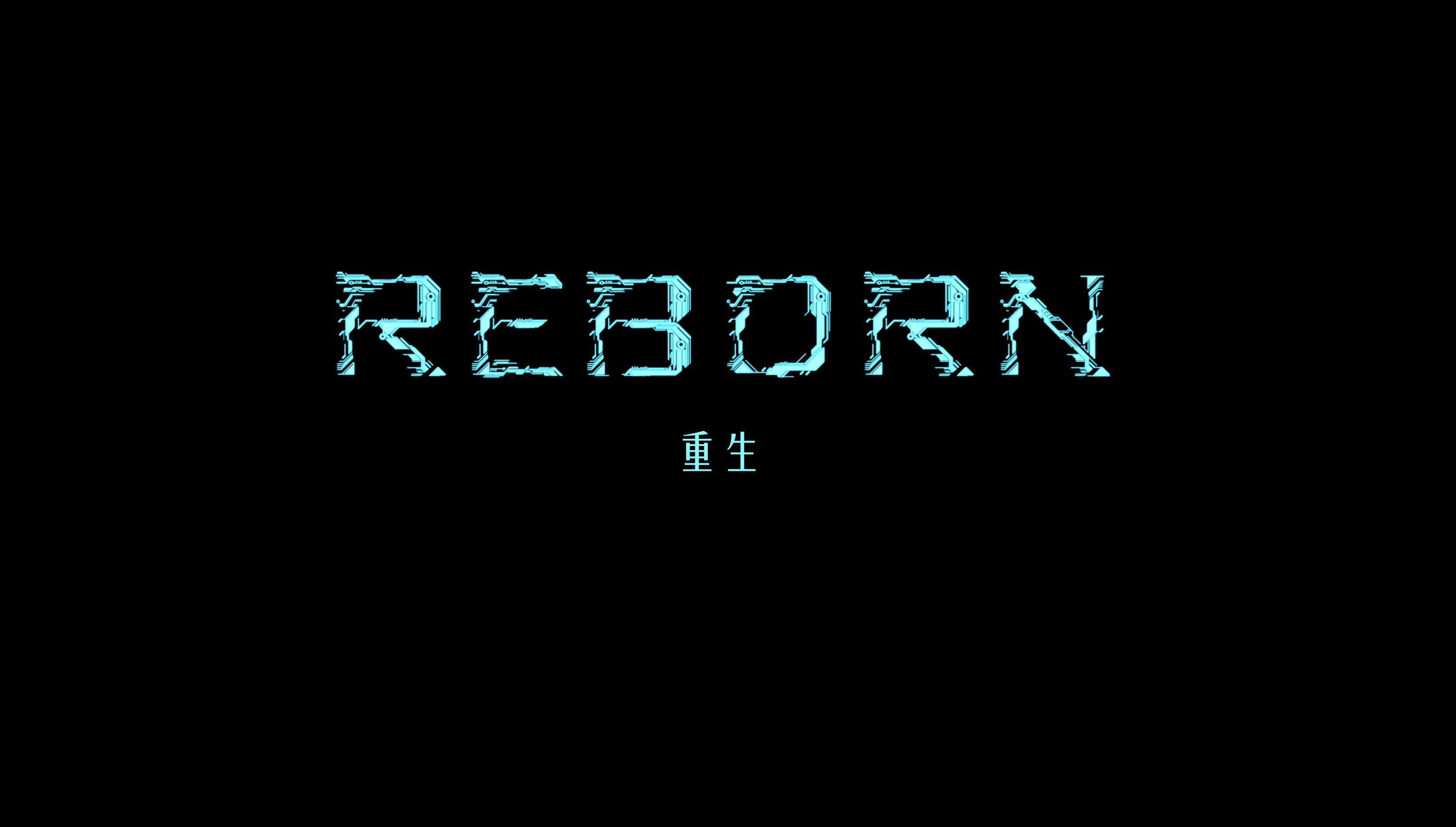 reborn重生